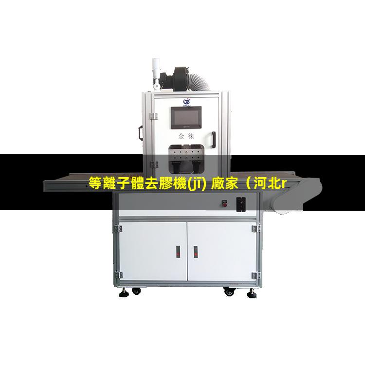 等離子體去膠機(jī) 廠家